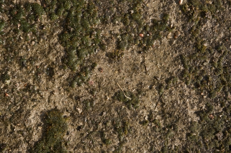An image of soil backgroundの写真素材