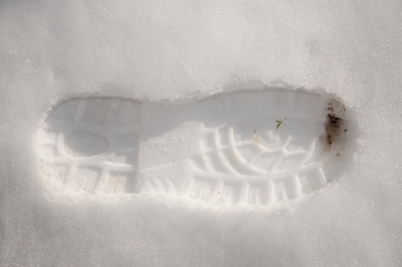 An imgae of winter footprintの写真素材