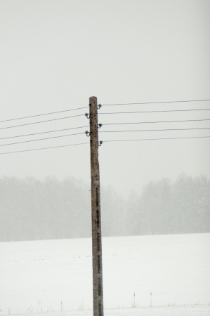 An image of electrical pileの写真素材