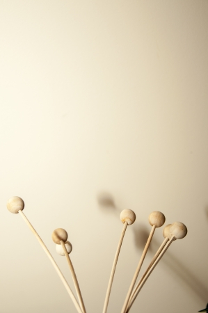 An image of smell sticksの写真素材