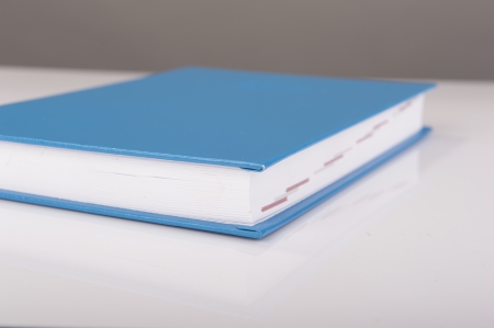 An image of blue handy calendar