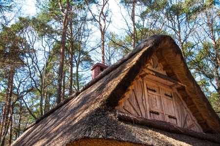 Wooden roof construction in the houseの写真素材