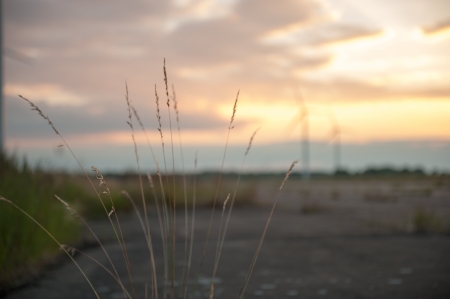An image of wind turbines at sunsetの写真素材