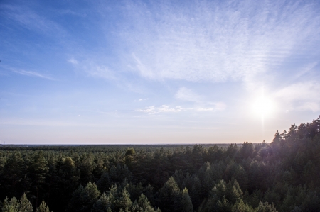 an image of beautiful landscape view at the top of the woodsの写真素材
