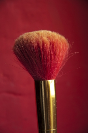 an image of brush for applying primerの写真素材