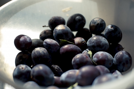an image of plums in a bowlの写真素材