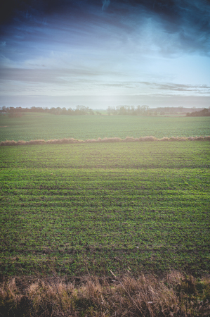 an image of spring landscapeの写真素材