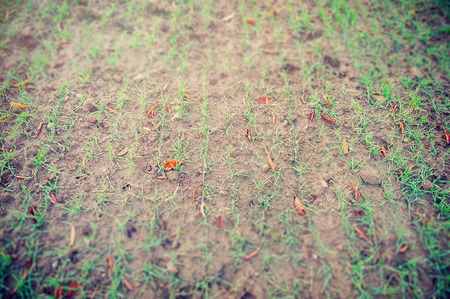 an image of spring landscapeの写真素材