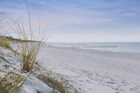 sunny beach with sand dunes and blue skyの写真素材
