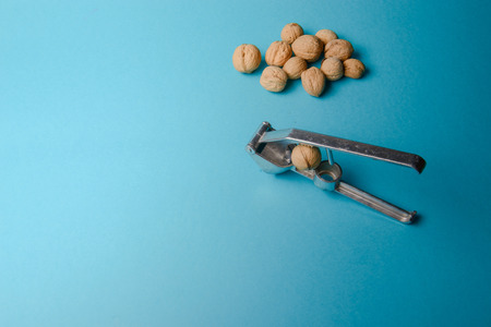 Walnuts with nutcracker, walnuts close-up, walnuts on a blue background