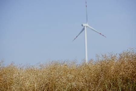 wind trubine at sunny day with blue skyの写真素材