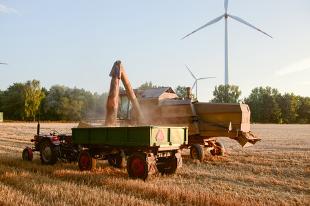 Combine harvester unloads wheat grain into the tractor trailer.の写真素材