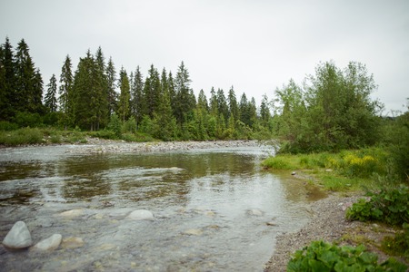 mountain river with stones in summer timeの写真素材