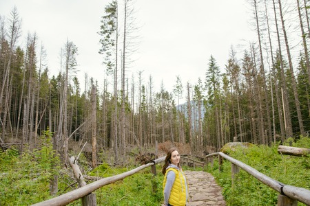 brunette woman hiker hiking on trail in summer time. Tatra mountain in Poland.の写真素材