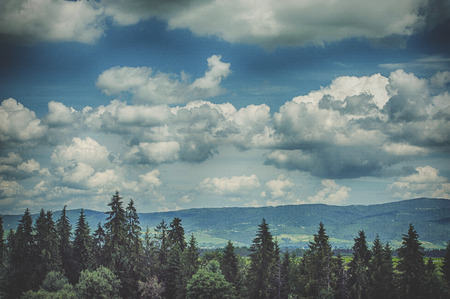 summer mountains green grass and blue sky landscape.