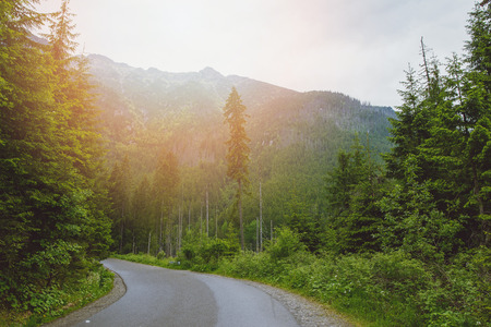 asphalt road in mountain in summer time