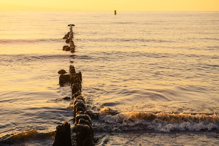 Breakwaters in the Baltic sea over the sunset in summerの写真素材