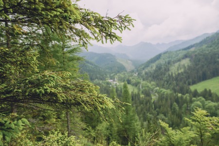 Summer mountain landscape in Tatra mountain. Summer timeの写真素材