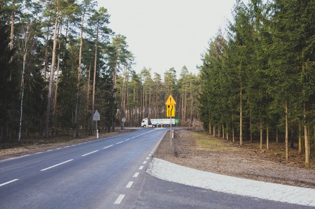 new asphalt road and pine tree forest at dusk