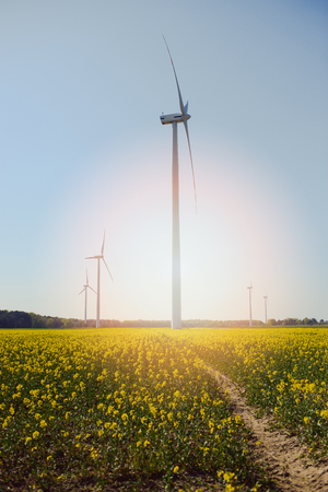 Bright blue sky moving and wind turbine.