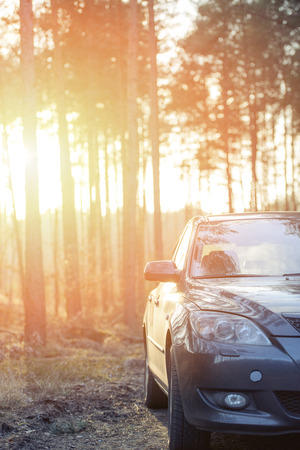 Gray hatchback car parked next to the woodの写真素材