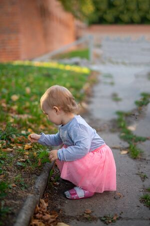 Adorable girl having fun on beautiful autumn day.の写真素材