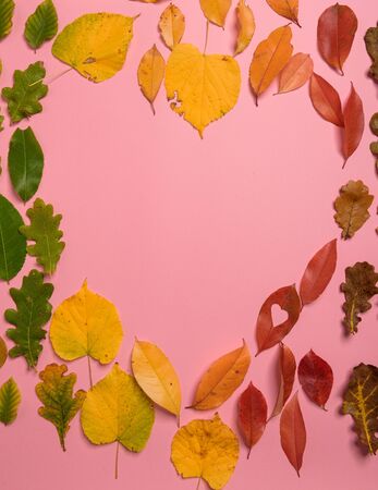 Background group of autumn orange, green, yellow and brown leaves. Heart shape on pink background. Studio shoot. View from above. Vertical orientation. Copy spaceの写真素材