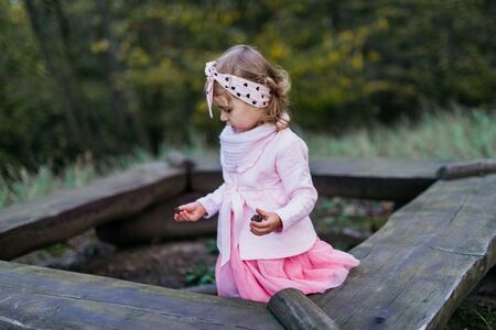 Beautiful little girl playing in the park on a sunny day. Autumn dayの写真素材