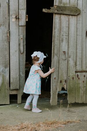 Curiuos child farmer playing in barn with cat in rustic poultry house in countryside farmyard farming lifestyle.の写真素材
