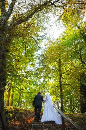 Bride and groom at a photo session in the nature.の写真素材