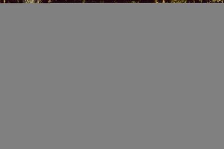Happy loving family. Father and his daughter child girl playing and hugging outdoors. Cute little girl hugs daddy. Concept of Father's day. Authentic image.の写真素材