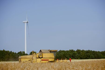 Combine harvesting the rape field at summerの写真素材
