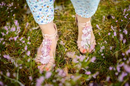 a photo of woman in the forest where the purple heather blooms. copy space. authentic imageの写真素材