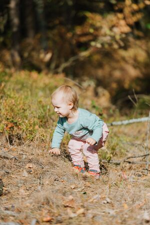 Adorable girl having fun on beautiful autumn day.の写真素材