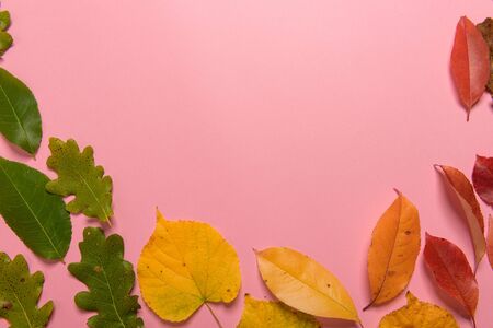 Background group autumn orange, green, yellow and brown leaves. with the heart shape cut out in the...