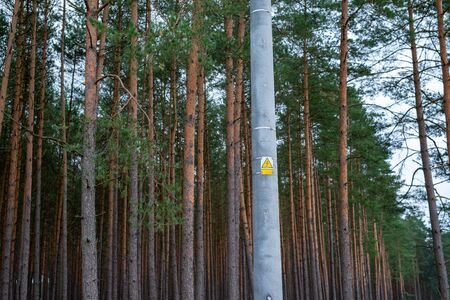 High voltage electric pole in the forest.の写真素材