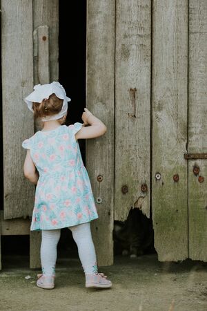 Curiuos child farmer playing in barn with cat in rustic poultry house in countryside farmyard farming lifestyle.の写真素材