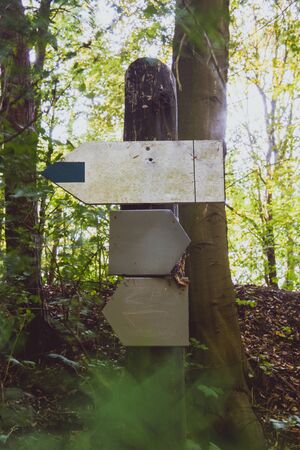 information boards in the forest. copy space. summer time.の写真素材