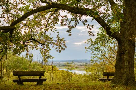 Bench in autumn park. Autumn landscape. Viewpointの写真素材