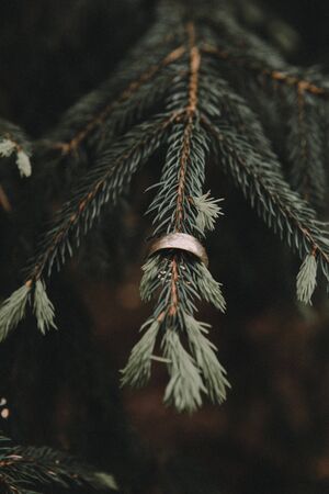 Beautiful two golden wedding rings. Made of highest quality materialの写真素材