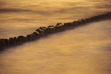 A photograph of wooden breakwater and seagulls at sunset on the Baltic Seaの写真素材