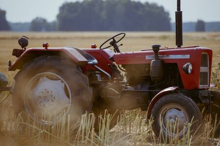 small tractor with trailer full of wheat grainの写真素材