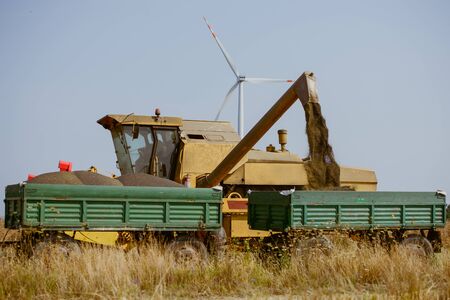 Combine harvesting the rape field at summerの写真素材