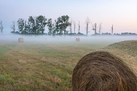 fog and haybale in the meadow in sunny summer morningの写真素材