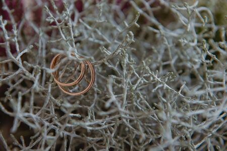 Beautiful two golden wedding rings. Made of highest quality materialの写真素材