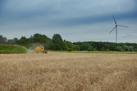 Combine harvesting wheat. Sumemr time. Agriculture background with copy space.の写真素材