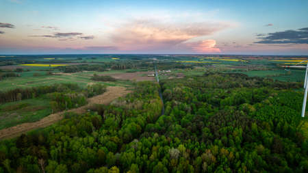 aerial view of green forest from top. drone photography