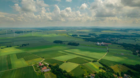 Drone photo of the bright green wheat field separated by the road. There is a tree by the road. aerial view. beautiful minimalist wallpaper.の写真素材