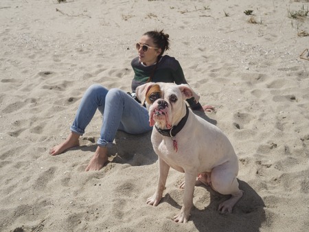 Portrait of a beautiful white boxer dog and its owner at the beach. Young woman sitting on the sand...