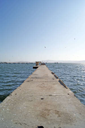 pier in the blue sea and birdsの写真素材